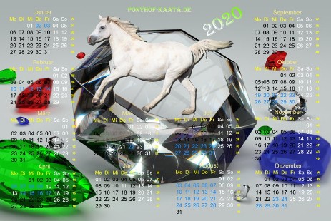 Pferdehof Kalender Kaata 2020