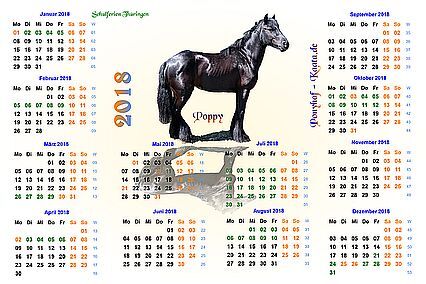 Kalender Pferd Poppy