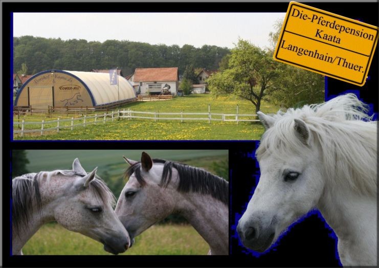 Die Pferdepension & Ponyhof Kaata in Langenhain/Thür.